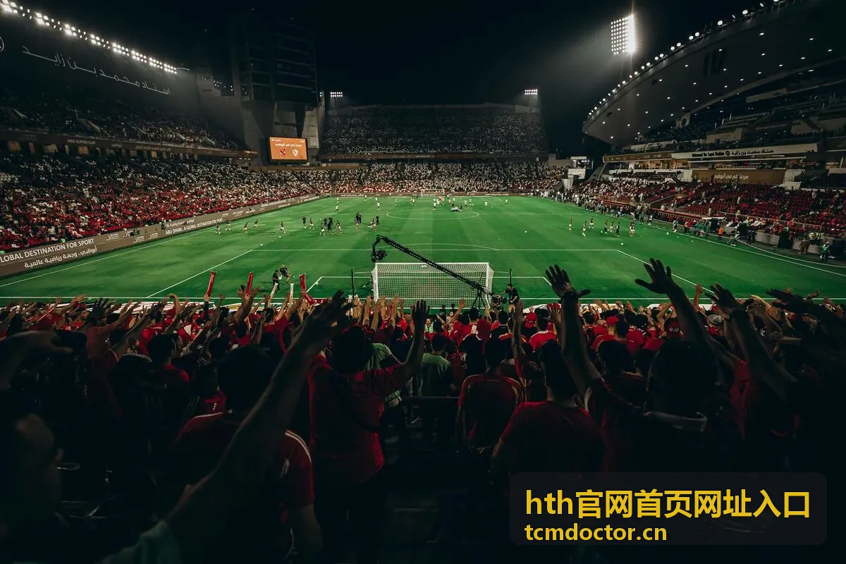 hth官网首页网址入口主视觉，展示入口核对与开通流程