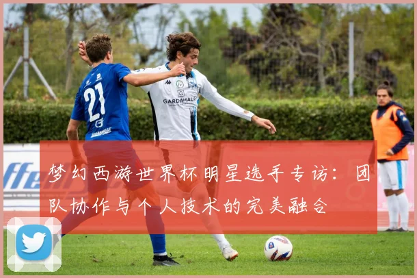 梦幻西游世界杯明星选手专访：团队协作与个人技术的完美融合