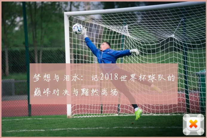 梦想与泪水：记2018世界杯球队的巅峰对决与黯然离场