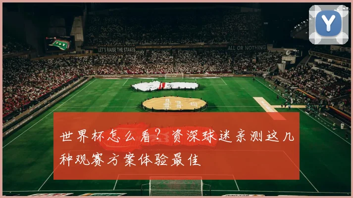 世界杯怎么看?资深球迷亲测这几种观赛方案体验最佳