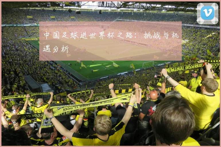 中国足球进世界杯之路：挑战与机遇分析